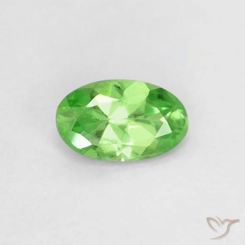 0.23ct 天然 充满活力的绿色 沙弗莱石榴石, 椭圆形, VVS-VS