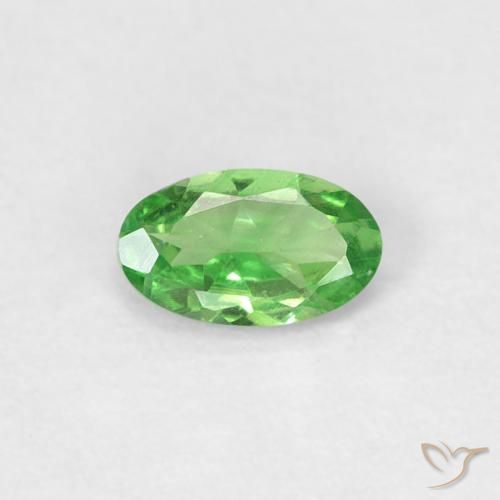 0.22ct 天然 充满活力的绿色 沙弗莱石榴石, 椭圆形, VVS-VS