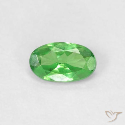 0.26ct 天然 充满活力的绿色 沙弗莱石榴石, 椭圆形, VVS-VS