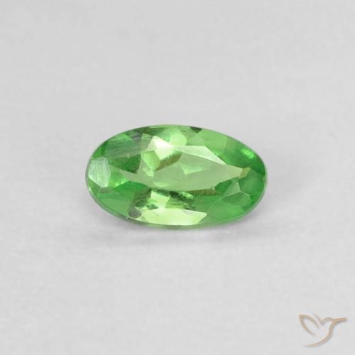 0.22ct 天然 充满活力的绿色 沙弗莱石榴石, 椭圆形, VVS