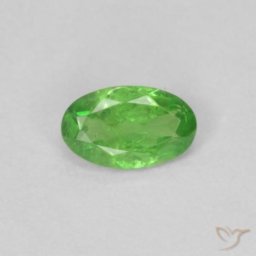 0.22ct 天然 充满活力的绿色 沙弗莱石榴石, 椭圆形, VS