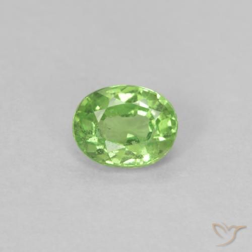 0.22ct 天然 充满活力的绿色 沙弗莱石榴石, 椭圆形, VS