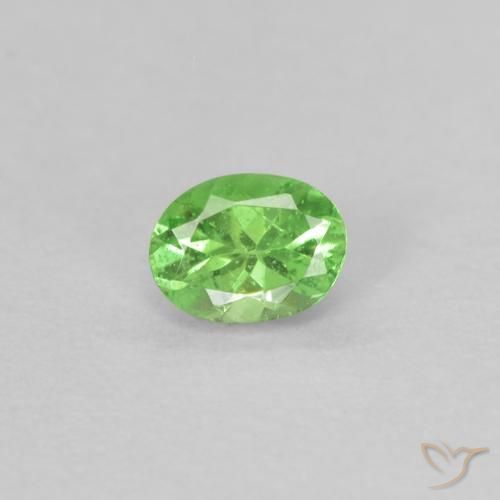 0.18ct 天然 充满活力的绿色 沙弗莱石榴石, 椭圆形, VS
