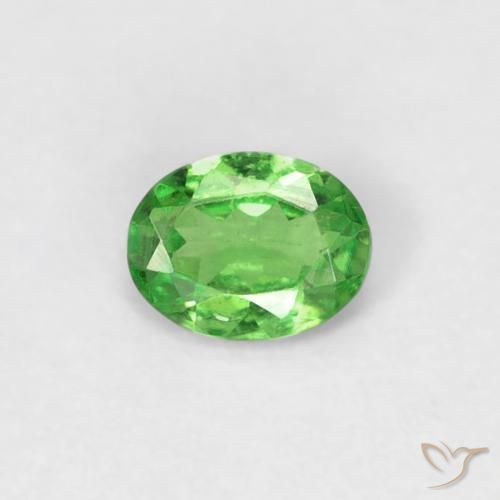 0.23ct 天然 充满活力的绿色 沙弗莱石榴石, 椭圆形, VS