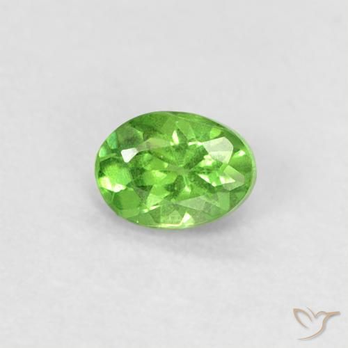 0.24ct 天然 充满活力的绿色 沙弗莱石榴石, 椭圆形, VS