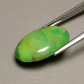 5.72克拉天然绿色绿松石，椭圆形切割，18.2×13.2毫米，不透明