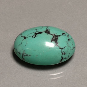 13.65克拉天然绿色绿松石，椭圆形切割，19.4×13.4毫米，不透明