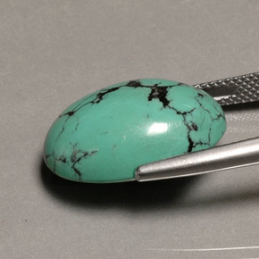 13.65克拉天然绿色绿松石，椭圆形切割，19.4×13.4毫米，不透明