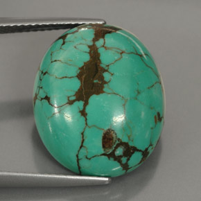 15.63克拉天然绿色绿松石，椭圆形切割，18.5×15.3毫米，不透明