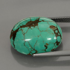 15.63克拉天然绿色绿松石，椭圆形切割，18.5×15.3毫米，不透明