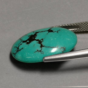 12.26克拉天然绿色绿松石，椭圆形切割，20.7×15.8毫米，不透明