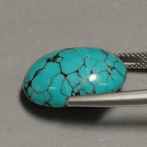 12.98克拉天然绿松石，椭圆形切割，18.5×13.4毫米，不透明