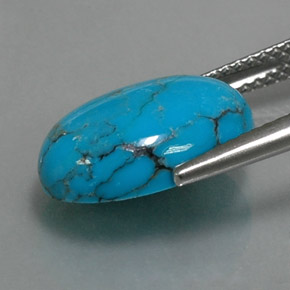 3.95克拉天然绿松石，椭圆形切割，14.1×10.1毫米，不透明