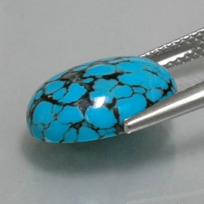 3.92克拉天然绿松石，椭圆形切割，14×10.1毫米，不透明