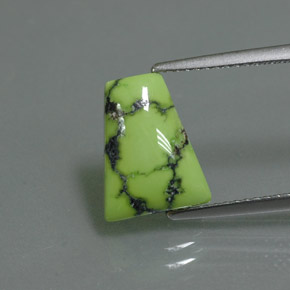 2.62克拉天然绿色绿松石，异形，11.8×9.3毫米，不透明