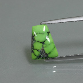 1.63克拉天然绿色绿松石，异形，10.3×8.2毫米，不透明