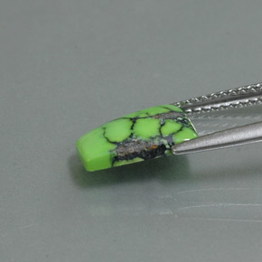 1.63克拉天然绿色绿松石，异形，10.3×8.2毫米，不透明