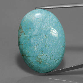 24.01克拉天然绿松石，椭圆形切割，不透明