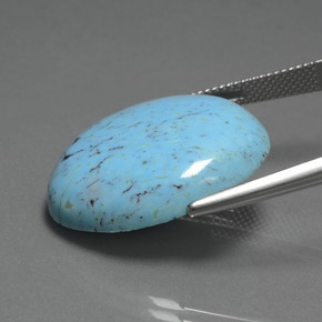 20.47克拉天然绿松石，椭圆形切割，25.3×22.9毫米，不透明