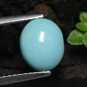 1.11克拉天然绿松石，椭圆形切割，8.8×7.2毫米，不透明