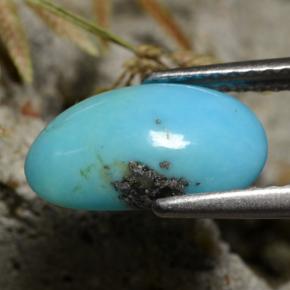 1.34克拉天然绿松石，异形，11.9×6.8毫米，不透明