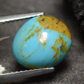 2.22克拉天然绿松石，异形，11×9.6毫米，不透明
