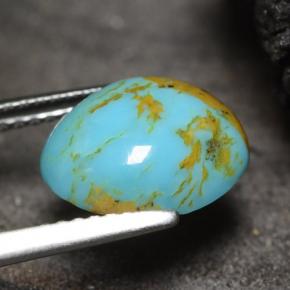 2.22克拉天然绿松石，异形，11×9.6毫米，不透明