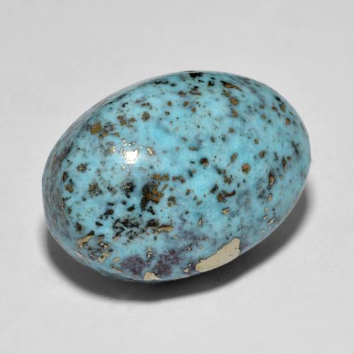 15.80克拉天然绿松石绿松石，椭圆形切割，19.4×13.9毫米，不透明
