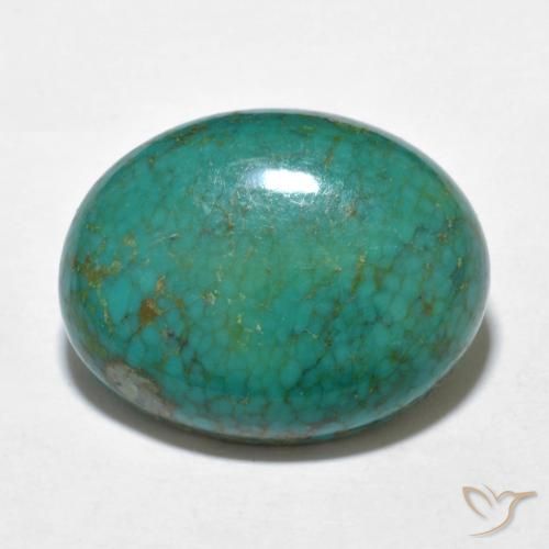 9.91克拉天然绿松石绿松石，椭圆形切割，19.2×15毫米，不透明