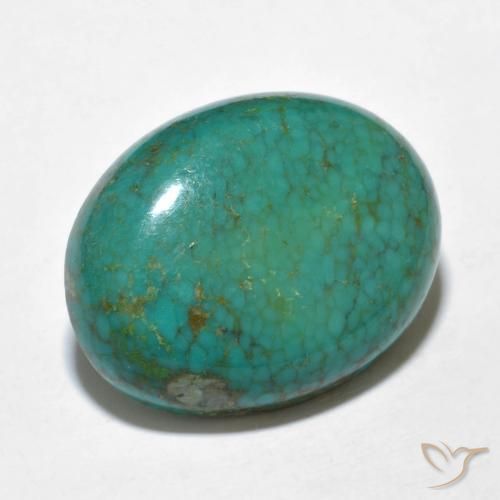 9.91克拉天然绿松石绿松石，椭圆形切割，19.2×15毫米，不透明