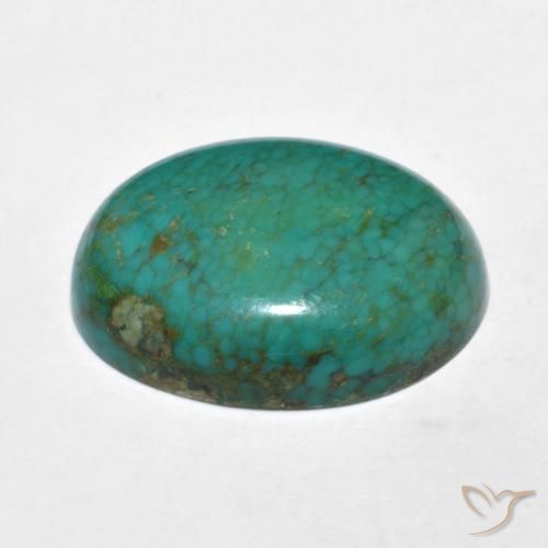 9.91克拉天然绿松石绿松石，椭圆形切割，19.2×15毫米，不透明