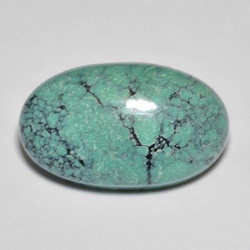 13.76克拉天然绿松石绿松石，椭圆形切割，21.9×13.3毫米，不透明