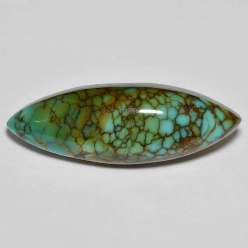 11.50克拉天然多色绿松石，马眼形，28×9.7毫米，不透明