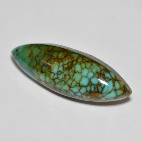 11.50克拉天然多色绿松石，马眼形，28×9.7毫米，不透明