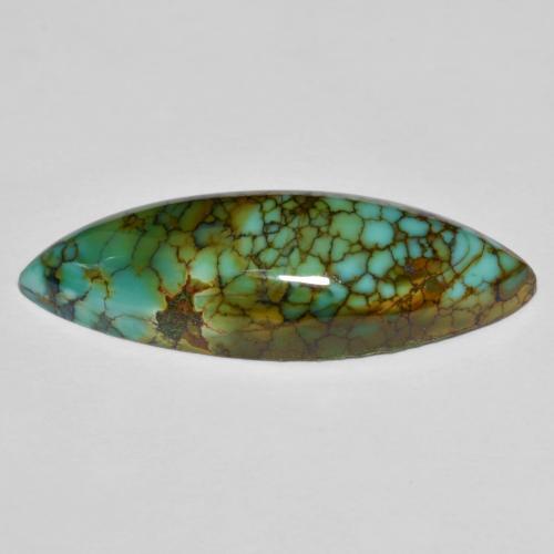 11.50克拉天然多色绿松石，马眼形，28×9.7毫米，不透明