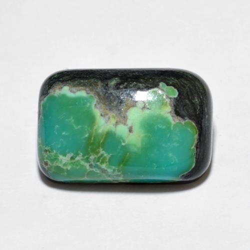 5.93克拉天然多色绿松石，垫形剪裁，15×9.9毫米，不透明
