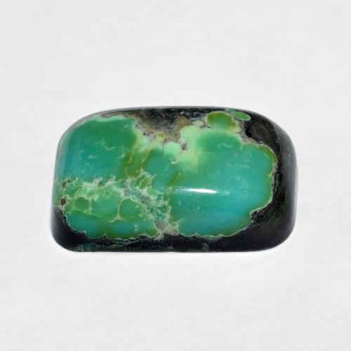 5.93克拉天然多色绿松石，垫形剪裁，15×9.9毫米，不透明