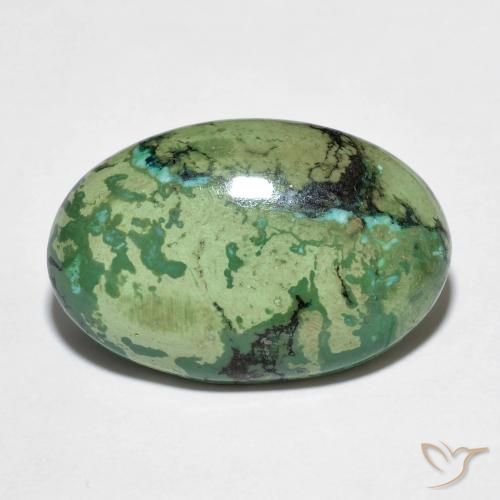 9.73克拉天然绿色绿松石，椭圆形切割，20×13.1毫米，不透明
