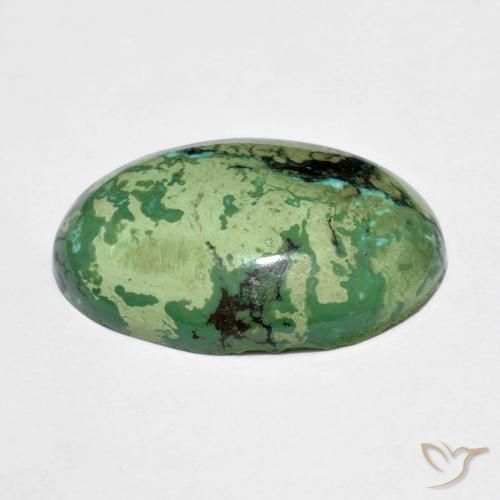 9.73克拉天然绿色绿松石，椭圆形切割，20×13.1毫米，不透明