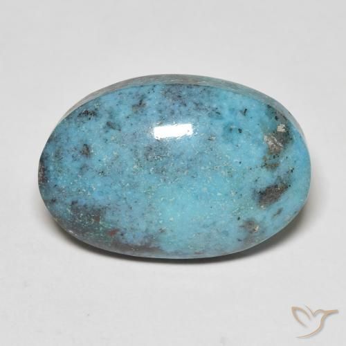 13.55ct 天然 绿蓝色 绿松石, 椭圆形, 不透明