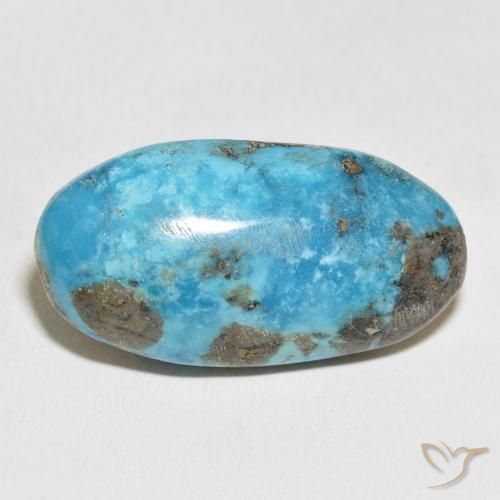 45.91ct 天然 绿蓝色 绿松石, 椭圆形, 不透明