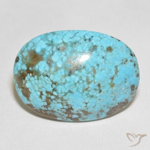 48.31ct 天然 绿蓝色 绿松石, 椭圆形, 不透明