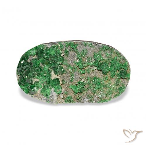 7.91ct Deep Earthy Green 钙铬榴石石榴石晶簇, 椭圆形, 不透明