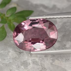 4.18克拉天然粉色锆石，椭圆形切割，10.8×7.8毫米，VVS