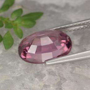4.18克拉天然粉色锆石，椭圆形切割，10.8×7.8毫米，VVS