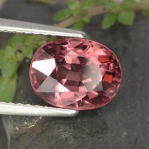 3.58克拉天然红色锆石，椭圆形切割，9.1×7毫米，VVS